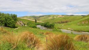 Río truchero en Nueva Zelanda