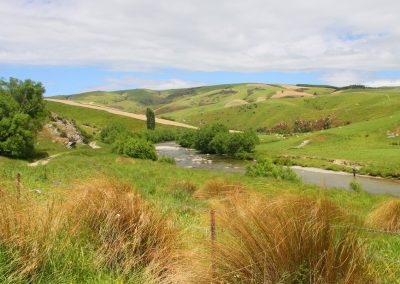 Río truchero en Nueva Zelanda