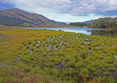 Paisaje de NZ