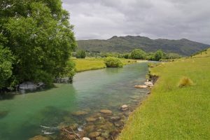 Río truchero en NZ
