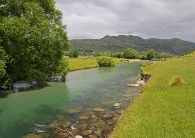 Río truchero en NZ