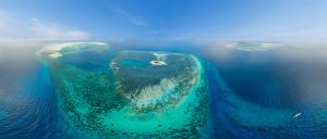 Alphonse Island Seychelles Fly fishing Bonefish