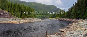Atlantic Salmon Destinations 2021