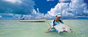 Cosmoledo Indo-Pacific Permit