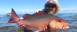 Providence Atoll Seychelles Snapper