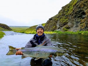 Salmon from the Myrarkvisl River Iceland