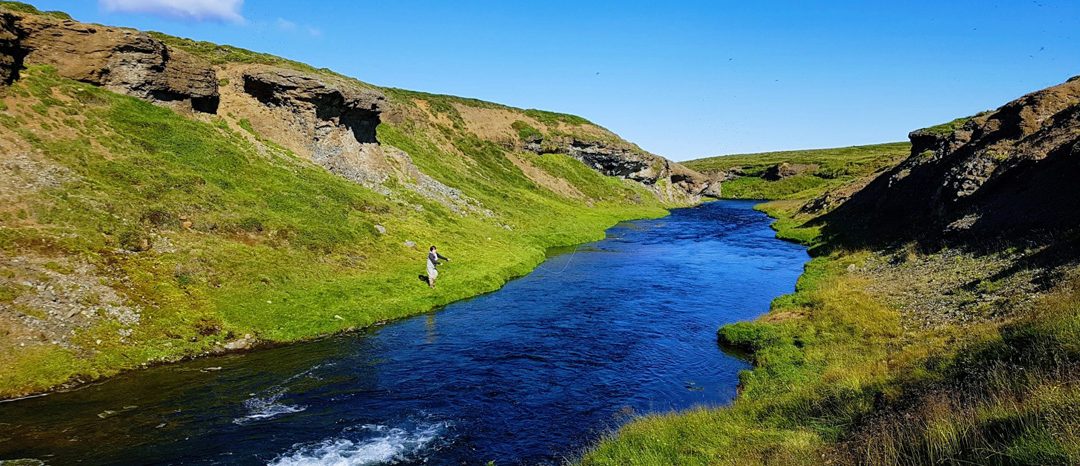 Ranking de los Mejores Ríos Salmoneros de Islandia en 2021, Estadísticas de Capturas de Salmón por Río