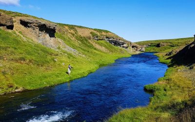 Ranking de los Mejores Ríos Salmoneros de Islandia en 2021, Estadísticas de Capturas de Salmón por Río