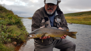 Reykjadalsá River trout