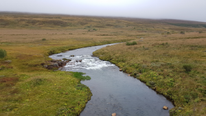 Reykjadalsá River, Northern Iceland