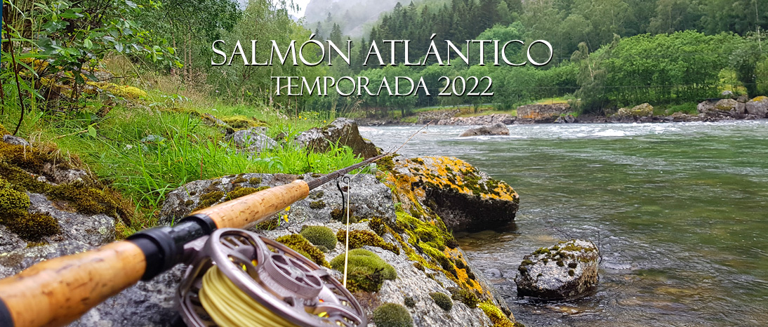 Destinos de Salmón Atlántico en 2022