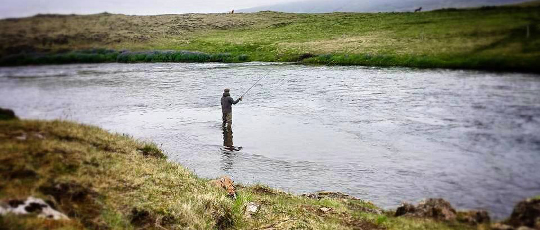 Leirvogsa River, salmon fishing just outside of Reykjavik