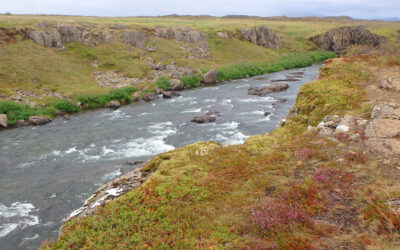 Best Salmon Rivers in Iceland in 2022: Catch Statistics