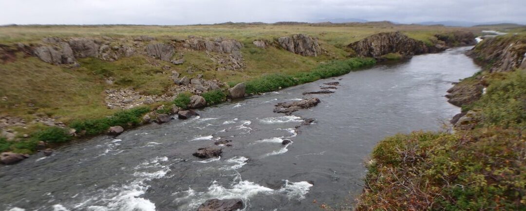 Ranking de los Mejores Ríos Salmoneros de Islandia en 2022 Estadísticas de Capturas