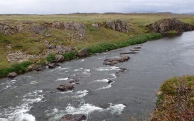 Ranking de los Mejores Ríos Salmoneros de Islandia en 2022 Estadísticas de Capturas