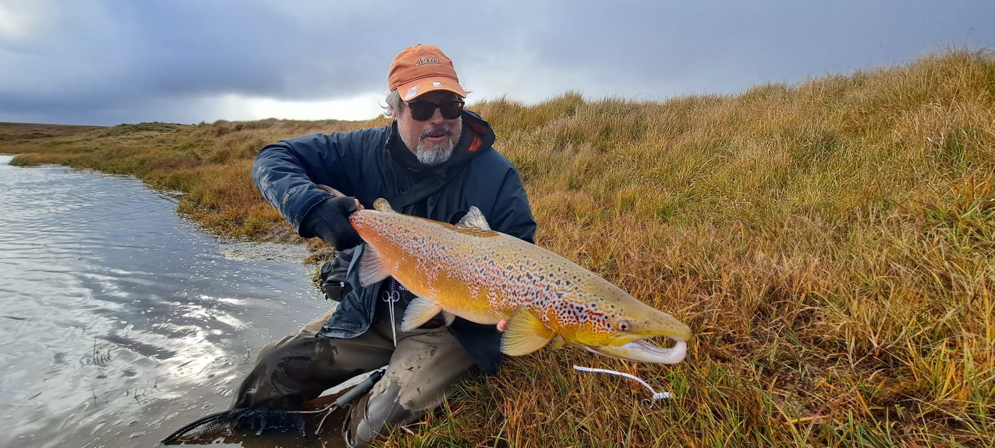 Autumn msw salmon Deildara River Iceland