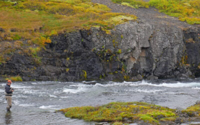 Ranking de los Mejores Ríos Salmoneros de Islandia en 2023 Estadísticas de Capturas