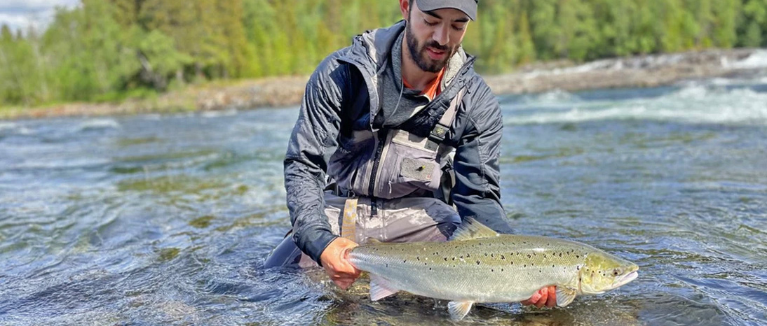 Aaelva River Atlantic salmon