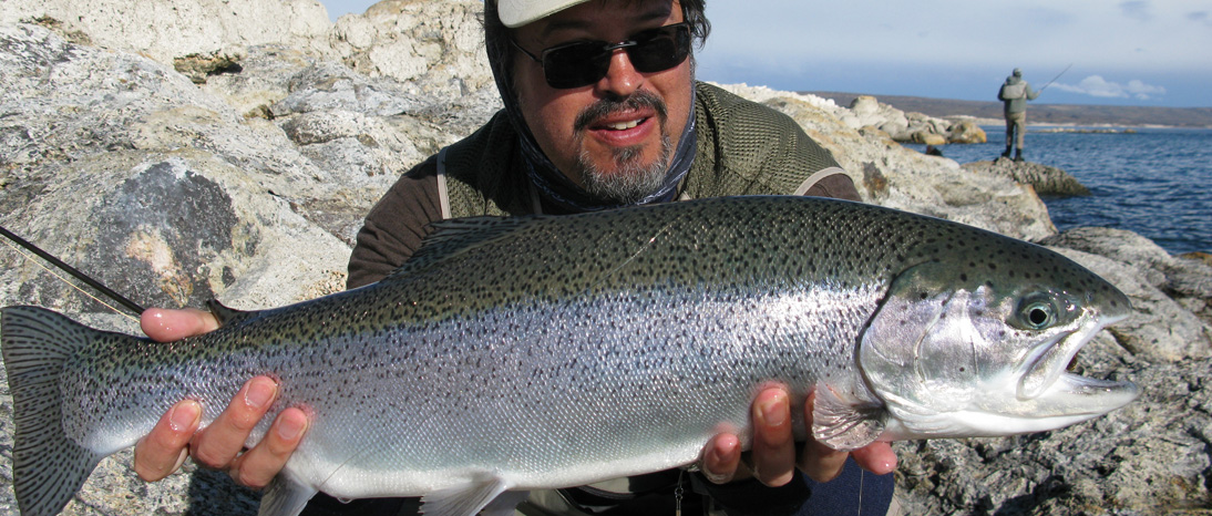 Lake_Strobel11 Lake Strobel Rainbow trout
