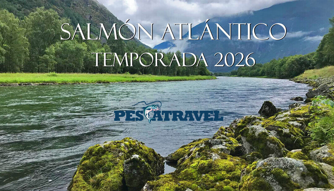 Salmón Atlántico - Destinos de pesca 2026