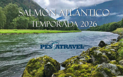 Salmón Atlántico Destinos 2026