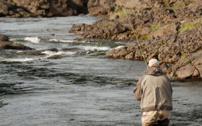 Ranking de Mejores Ríos Salmoneros de Islandia en 2026 – Estadísticas de Capturas
